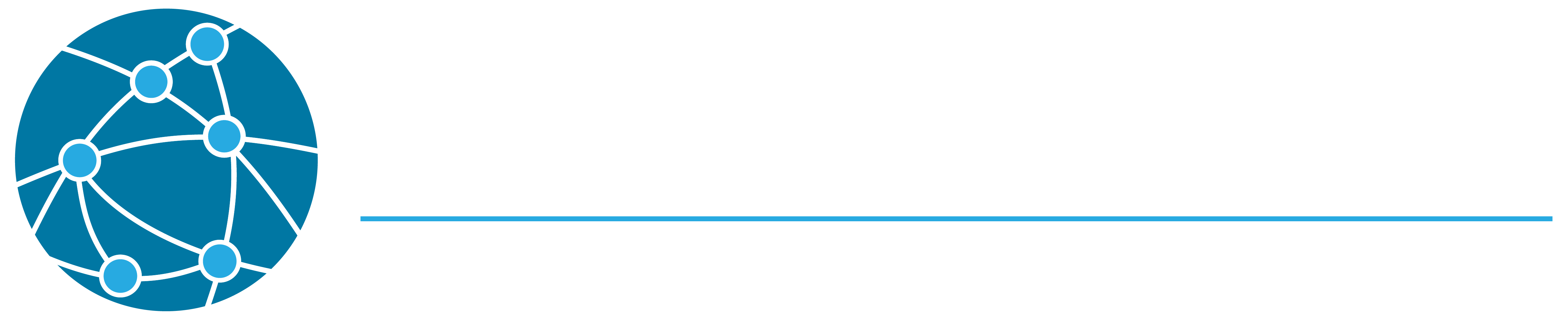 CRITICAL PROJECT SERVICES